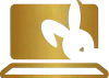 Computer Rabbit